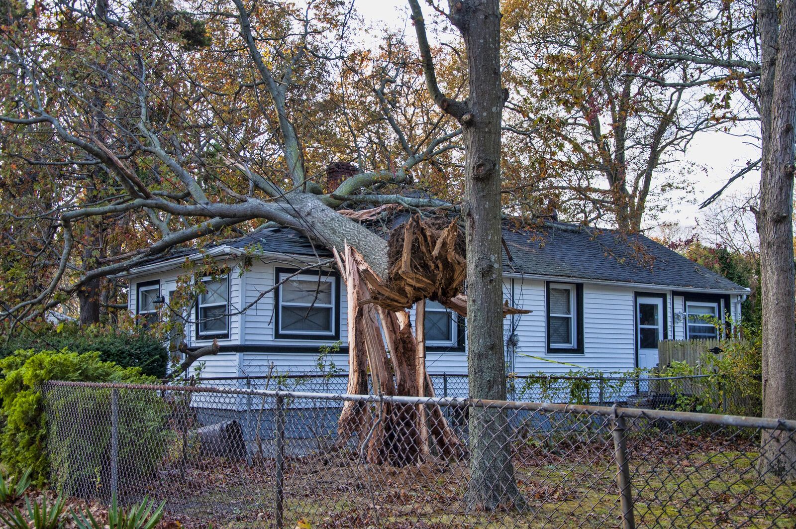 A tree fallen across the roof of a small white house after a storm.
